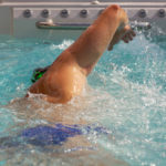 Prečo si vybrať celoročný bazén SWIM SPA pred klasickým bazénom